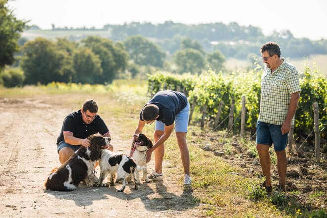 Le père et les fils Berthier sur un chemin entre les vignes avec leurs chiens