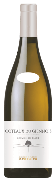 Bouteille de Coteaux du Giennois Blanc