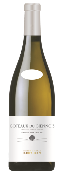 Bouteille de côteaux du Giennois blanc