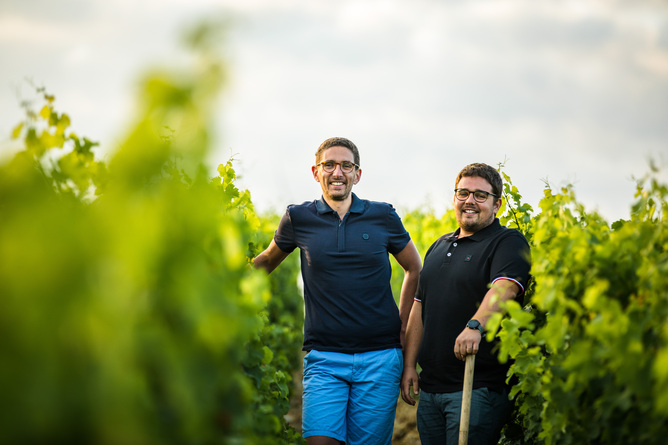 Les frères Berthier dans les vignes