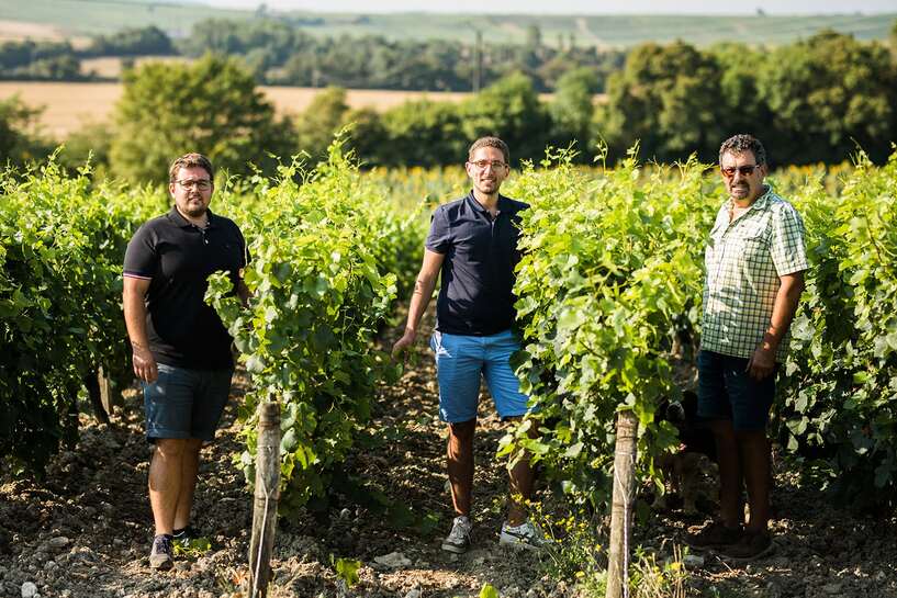 Le père et les fils Berthier au milieu de leurs vignes