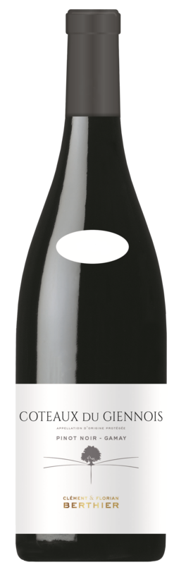 Bouteille de côteaux du Giennois rouge