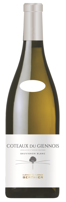 Bouteille de côteaux du Giennois blanc