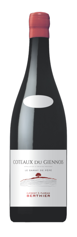 Bouteille Le Gamay de Pepe rouge