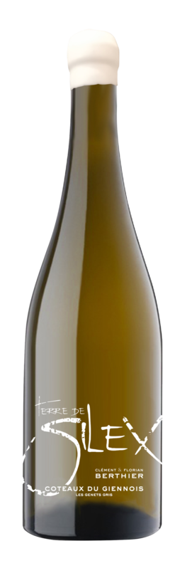 Bouteille Terre de Silex