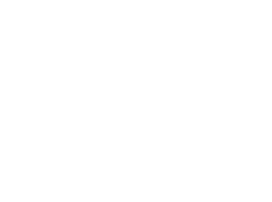 Logo des Vignobles Berthier