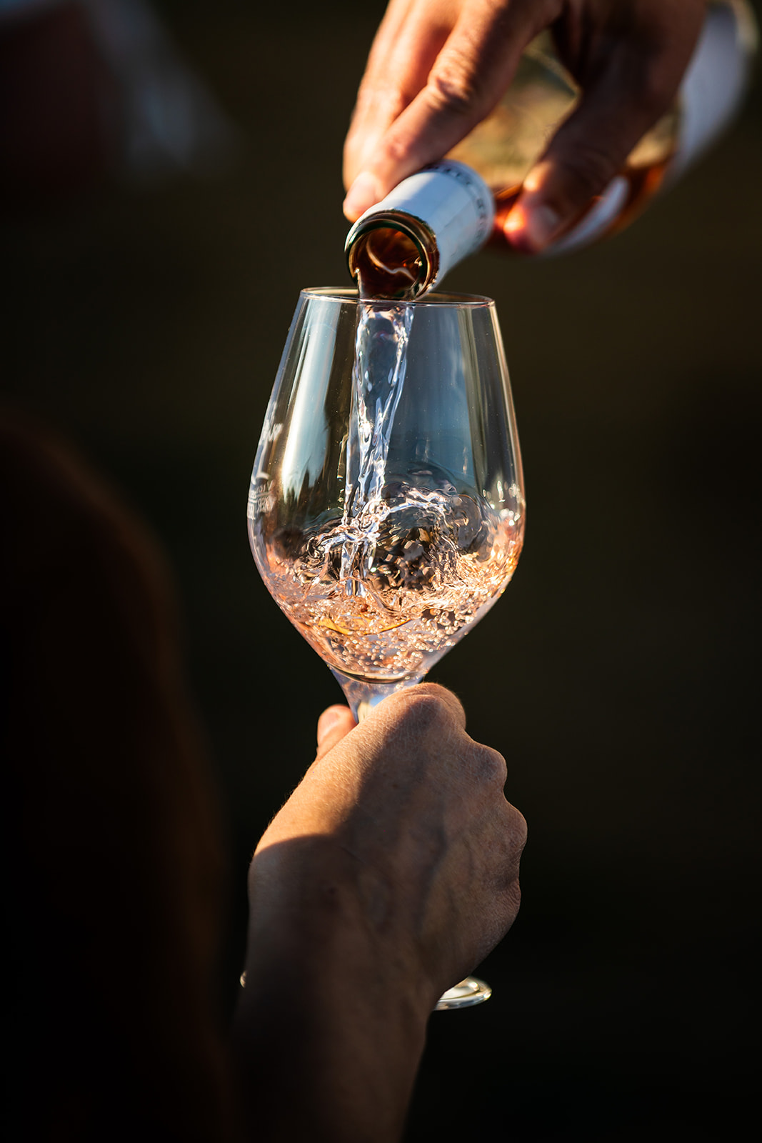 Vignobles Berthier Gros plan en noir et blanc sur des mains qui font fouler du vin dans un verre directement d'une cuve