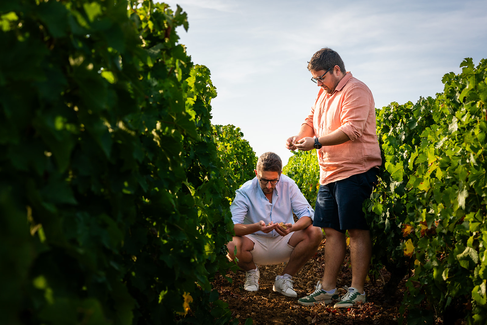 Vignobles Berthier Les frères Berthier observe nt le raisin de la vigne