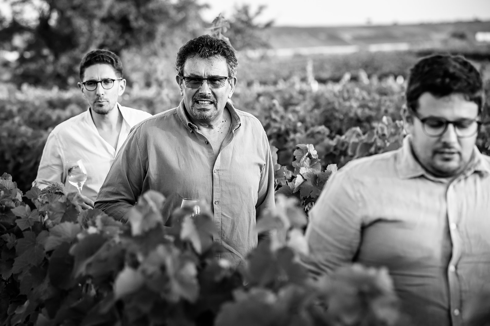 Vignobles Berthier Berthier père et fils... et chiens !